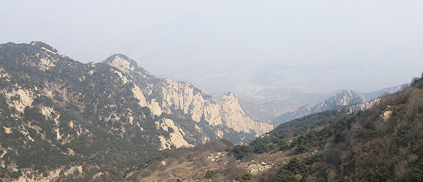 專業(yè)實力 專業(yè)實力